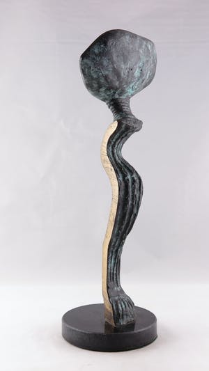 Desiree Tonnaer - Brons, Porteur de graines kopen? Bied vanaf 350!