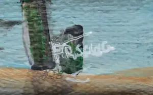 Franklin Meijer - Waddenkust Groningen kopen? Bied vanaf 79!