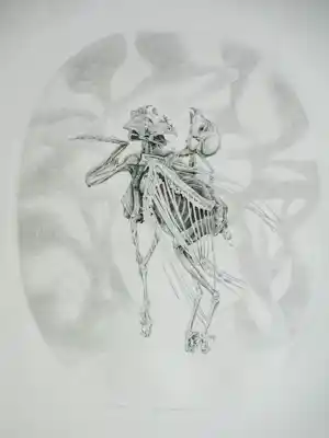 Gerard van Rooy - Danse Macabre II - Ets verkocht voor € 60!