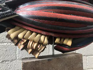 Lia van Vugt - Vis wil zwemmen kopen? Bied vanaf 600!