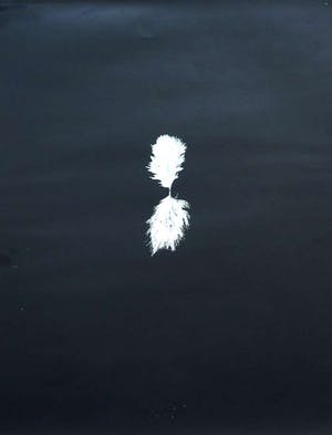 Henk Peeters - Zeefdruk: Het Veertje - 1982 kopen? Bied vanaf 250!