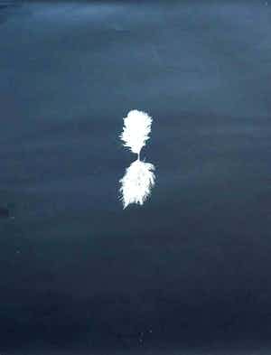 Henk Peeters - Zeefdruk: Het Veertje - 1982 verkocht voor € 250!