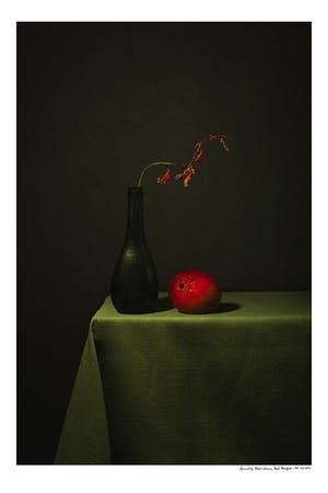 Arnold Mariashin - Red mango kopen? Bied vanaf 125!