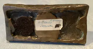 Peter Erftemeijer - Zittende vrouwen kopen? Bied vanaf 250!