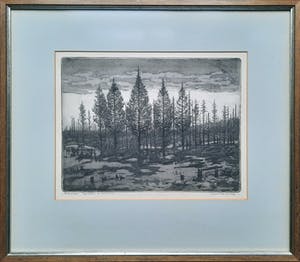 Gerrit de Jong - ets aquatint - Mastbos e.a. - ingelijst - 22167 kopen? Bied vanaf 85!