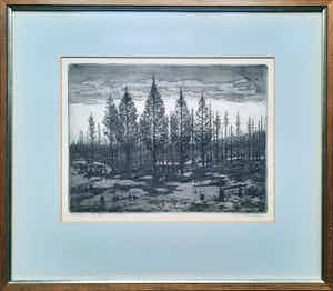 Gerrit de Jong - ets aquatint - Mastbos e.a. - ingelijst - 22167 verkocht voor € 85!