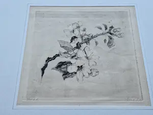 Suze de Lint - omstreeks 1920 - delicate droge naald Ets "bloesemtak" zeer kleine oplage (25) kopen? Bied vanaf 31!