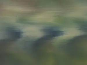 Mark Robert Peters - Radiation-1 kopen? Bied vanaf 1935!