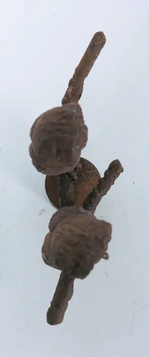 Paul Beckers - Twee sculpturen van ijzer en terracotta, Vogels + boek! kopen? Bied vanaf 200!