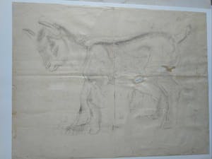 Bob Buys - Man met fez kopen? Bied vanaf 25!