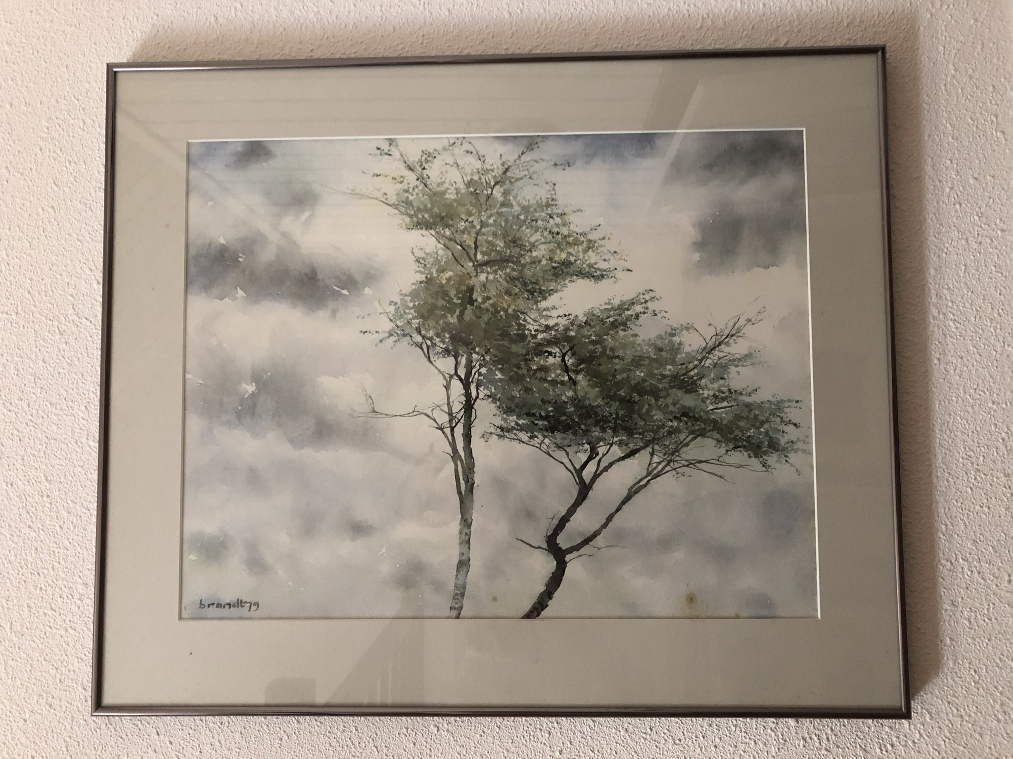 Edwin Brandt - Berkenbomen kopen? Bied vanaf 30!