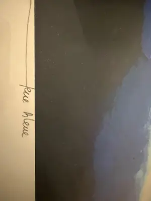 Theo Koster - Feue Blue kopen? Bied vanaf 300!