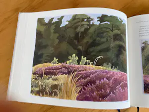 Siemen Dijkstra - Dwingelderveld In Transit kopen? Bied vanaf 45!