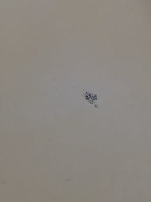 Joe Colombo - BOBY trolley kopen? Bied vanaf 150!