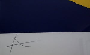 Rob Scholte - Zeefdruk: Copyright (prachtig gelijst!) kopen? Bied vanaf 350!