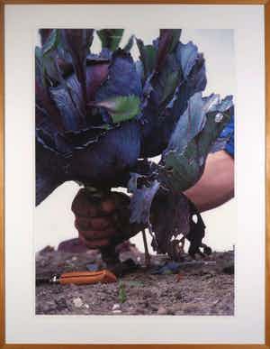 Robert Wevers - De kool, het mes en de hand verkocht voor € 125!