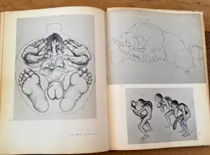 Elsje van Beek - Vast kopen? Bied vanaf 200!