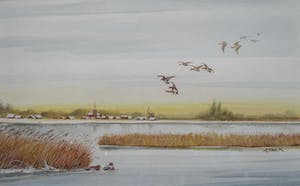 Ari Stolk - Invallende eenden met dorpje kopen? Bied vanaf 30!