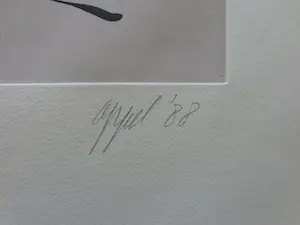 Karel Appel - LOS PAJAROS / AQUATINT-KLEURETS / 76x56cm / SIG / 1988 kopen? Bied vanaf 495!