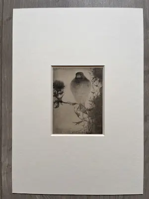 Jan Mankes - Originele Heliogravure Puttertje op Tak 1923 kopen? Bied vanaf 135!