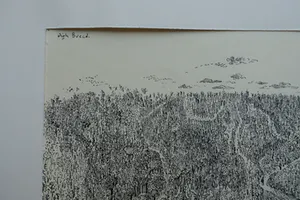 Dirk Breed - LANDSCHAP kopen? Bied vanaf 45!