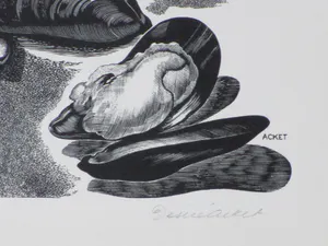 Désiré Acket - Schelpdieren - Gravure kopen? Bied vanaf 1!