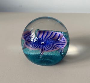 Niet of onleesbaar gesigneerd - Caithness Schotland - Glazen presse papier Petunias kopen? Bied vanaf 1!