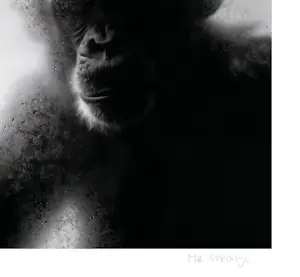 Mr Strange - De neef kopen? Bied vanaf 80!