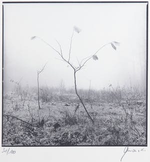 Ralph Janowski - Mooie zwart/wit print, Takken kopen? Bied vanaf 1!