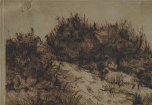 Johan D. Scherft - Ets , “Duinpunt” – gesigneerd – ca 1940 kopen? Bied vanaf 10!