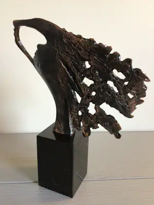 Bernadette Leijdekkers - “ Visie op de toekomst “ zeldzaam . kopen? Bied vanaf 189!