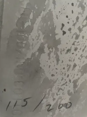 Robert Longo - ".38", from the portfolio 'Hope and optimism' kopen? Bied vanaf 2895!