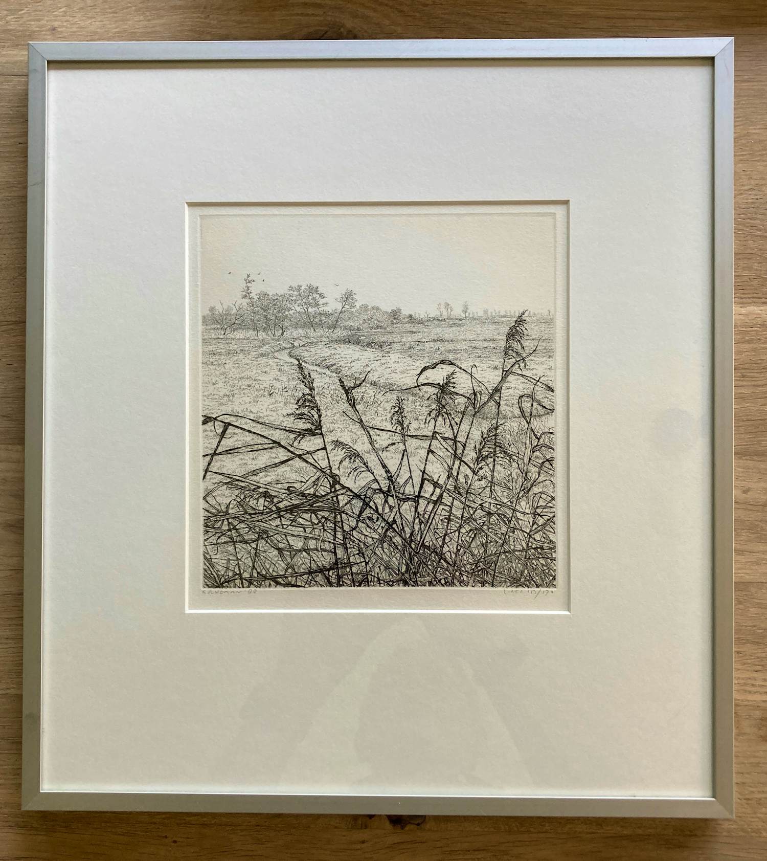 Reinder Homan - Ets, Landschap met riet in de polder ‘88 kopen? Bied vanaf 65!