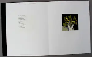 Fon Klement - en Marion Bloem - Boek met 8 werken - 1992 kopen? Bied vanaf 199!