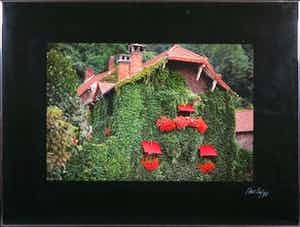 Paul Huf - C-Print, Huisje in het groen - Ingelijst verkocht voor € 50!