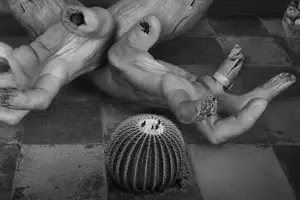 Dominic Rouse - 'Zie de man' (2002) kopen? Bied vanaf 85!