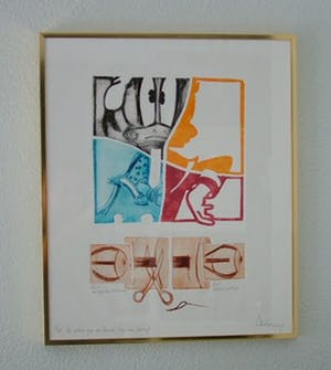 Arend van Dam - Kleuren ets op papier, getiteld "De schele ogen van Donald" 4/15 kopen? Bied vanaf 15!