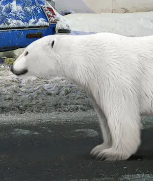 Mr. Strange - IJskeizers kopen? Bied vanaf 80!