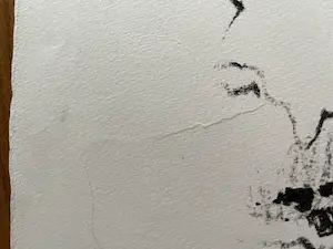 Jan Homan - FRIESLAND kopen? Bied vanaf 35!