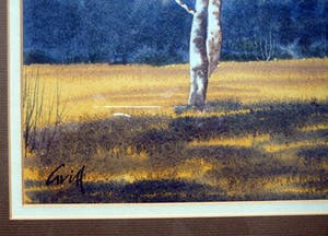 Niet of onleesbaar gesigneerd - Berkenboom in heidelandschap -aquarel- kopen? Bied vanaf 1!