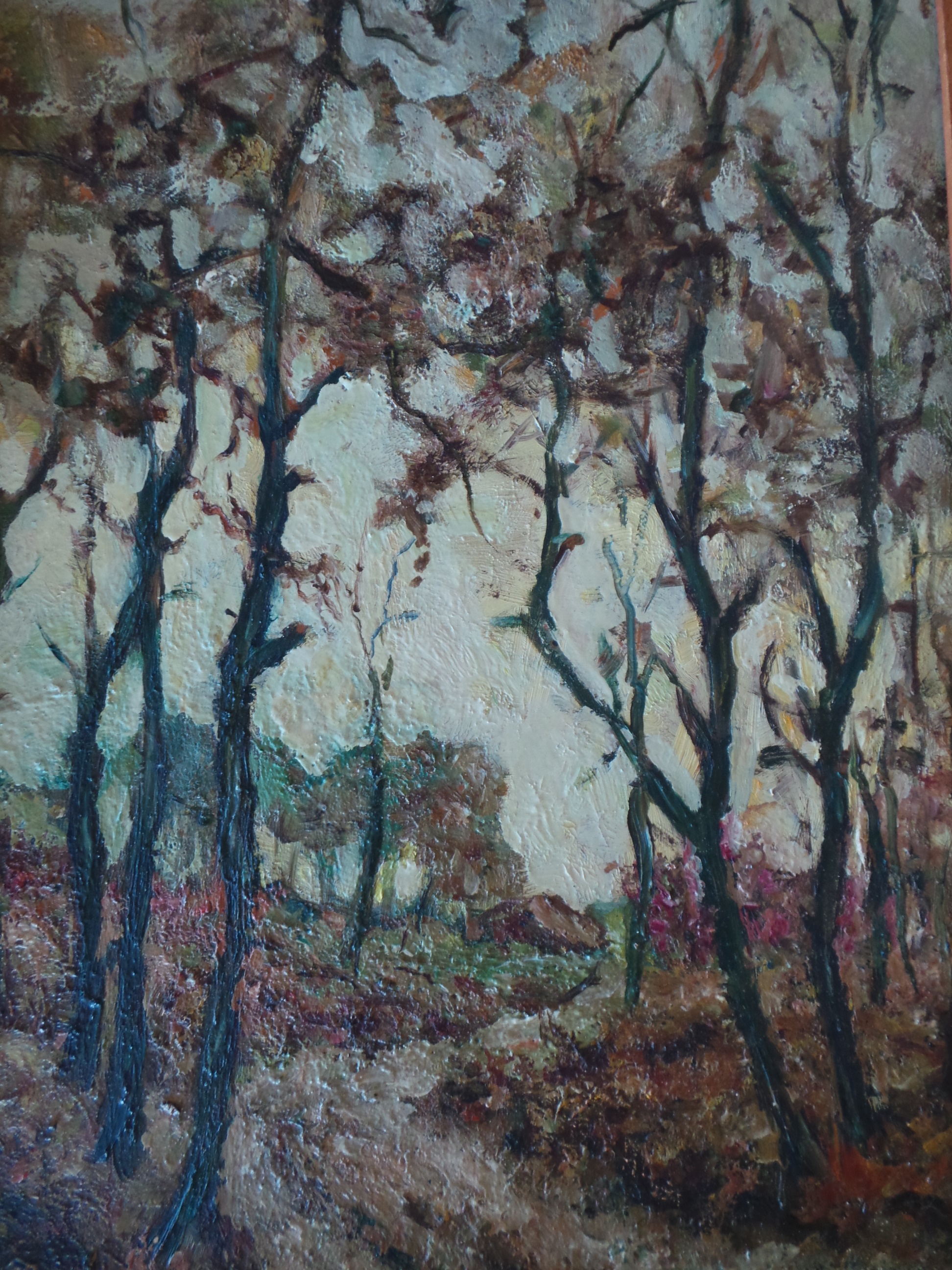 Niet of onleesbaar gesigneerd - Bosgezicht 20 eeuw kopen? Bied vanaf 1!