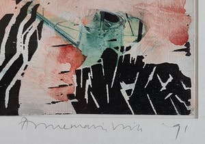 Annemarie Vink - Uit: Harmonica kopen? Bied vanaf 35!