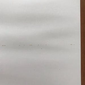 Els de Groot - Mooie gesigneerde zeefdruk - 1975 - "Movement" - 35/50 kopen? Bied vanaf 55!