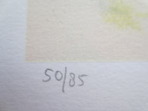 Nicole Schaap - lever du soleil kopen? Bied vanaf 60!