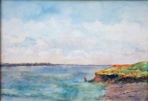 Yvonne Baugniet - scheldezicht kopen? Bied vanaf 19!