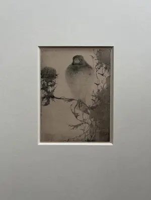 Jan Mankes - Originele Heliogravure Puttertje op Tak 1923 kopen? Bied vanaf 165!