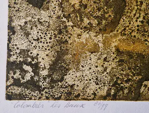 Antony van Lieshout - Grote kleuren ets "Colombier les Beaux" beperkte oplage (99) potloodges. kopen? Bied vanaf 44!
