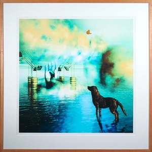 Arturo - Zeefdruk, Vlinders - Ingelijst kopen? Bied vanaf 20!