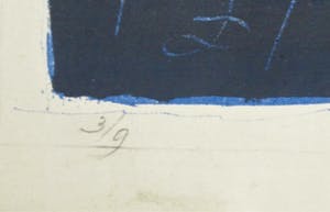 Daniel den Dikkenboer - Stilleven met druiven kopen? Bied vanaf 75!