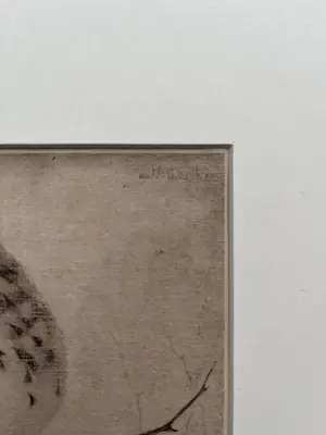 Jan Mankes - Originele Heliogravure Lijster op Tak 1923 kopen? Bied vanaf 185!